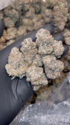 Obrázek k inzerátu