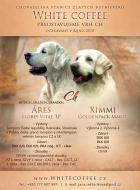 Obrázek k inzerátu